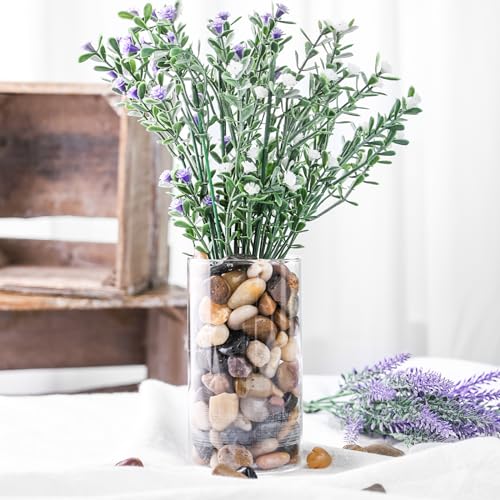 DomeStar River Rocks for Landscaping, 2lb Decorative Ornamental Pebbles Garden Landscaping Stones Gravel for Vases Fish Tank Succulent Potted Indoor Plants Crafts Home Garden Decor
