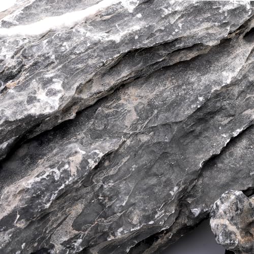 12lb Seiryu Stone, Aquarium Rocks for Terrariums, Paludarium, Vivariums, Reptile, Amphibian Enclosures, Fish Tank Decor for Aquarium Landscaping Models