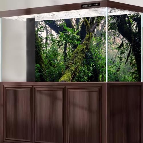 Jungle Rainforest Aquarium Background Mysterious Wild Tropical Forests Fish Tank Background Scenic Mossy Trees Green Plants Scene Terrarium Backgrounds Foggy Forest Reptile Tank Backgrounds 24x12in - color: Wam Green, size: 24(W)x12(H)in