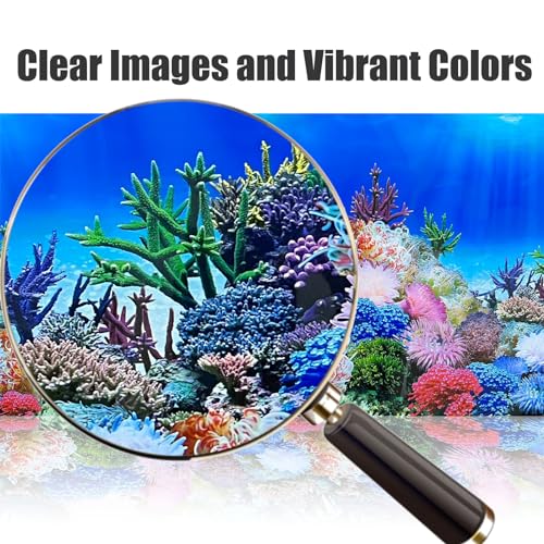 XCNO Fish Backgrounds Paper Double Sides Undersea Aquarium Background Poster Colorful Sea Anemone Fish Tank Background Sticker Decorations 12"x 25" - color: Sea Anemone, size: 11.6" x 25" In