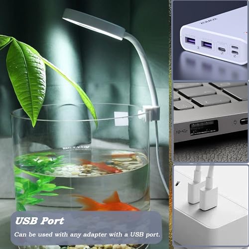 Upgraded Aquarium Light Clip On Fish Tank LED Light Small USB Light Dimmer Multi-Color White+Warm Yellow+Yellow 1 to 5 Gal (Adapter NOT Included, No Timer) - size: White-Dimmer