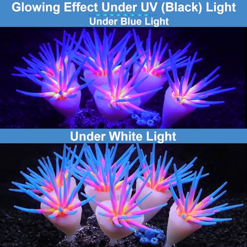 Silicone Glowing Effect Aquarium Fish Tank Decorations, Artificial Soft Anemone Coral Plants Ornaments for Aquarium Decor Landscape, Glow in Dark Fish Tank Accessories Decorations(Blue) - color: Blue