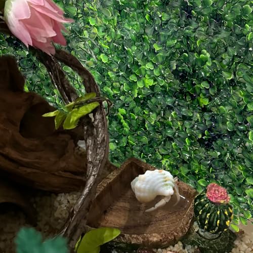 2 PCS Hermit Crab Climbing Toys, Plastic Simulation Grass Aquarium Tank Decoration with 4 Suction Cups, Hermit Crab Green Plants Supplies Fake Turf, Accessories for Hermit Crab Reptile 10 x 10 Inch - color: 2 Pack