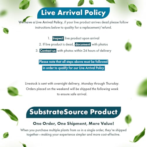 SubstrateSource Cryptocoryne Live Aquarium Plants - Freshwater Plant for Aquariums, Planted Fish Tanks - Beginner Friendly (Wendtii Green, 5 Pots (20-25 Plants)) - color: Wendtii Green, size: 5 Pots