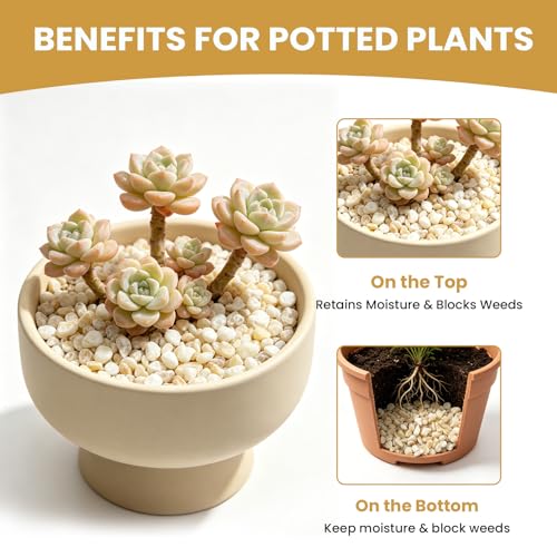 3/8 Inch Cream Beige Decorative Pebbles, Natural River Rocks for Indoor Plants, Succulents, Planters, Vases, Terrariums, Aquarium Gravel, Top Dressing Stones, 12 LB - color: Cream Beige, size: 12LB