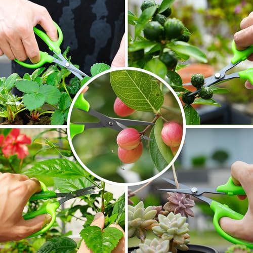 Garden Scissors, 6in Pruning Shears Snips Non-stick Coated Sharp Steel Blades - Gardening Tools Garden Shears for Plants Herb Flowers in Grow Tent and Hydroponics, Curved Blade - style: Curved Blade
