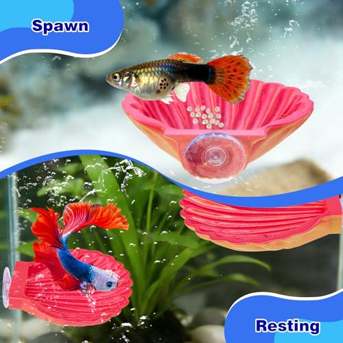 2pcs Betta Fish Shell Hammock, Large Aquarium Hammock Shell with Suction Cup, Shells Betta Resting Spot, Aquarium Decorations Accessories (Gold Red) - color: Gold Red Gradient