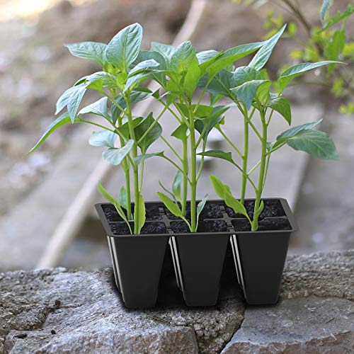 Gardzen 120 Pack 6-Cell Seed Starting Tray for Seedlings, Plant Starter Trays with Drainage Holes for Seed Germination, 5.4x3.7 inches, Black - color: Black, size: 120 Pcs
