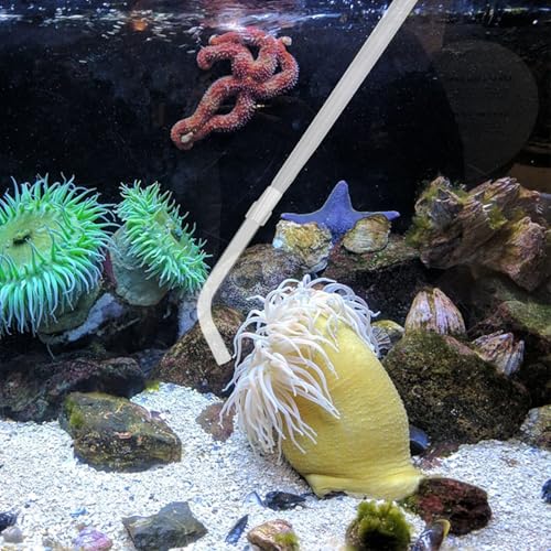 KABASI Waste Clean Tool Coral Fish Feeder, 50ml Manual Acrylic Pipette Suction Dropper with 2PCS Extension Pipes for Fish Tank Cleaning, Water Changer Waste Remover for Aquarium - color: Type B