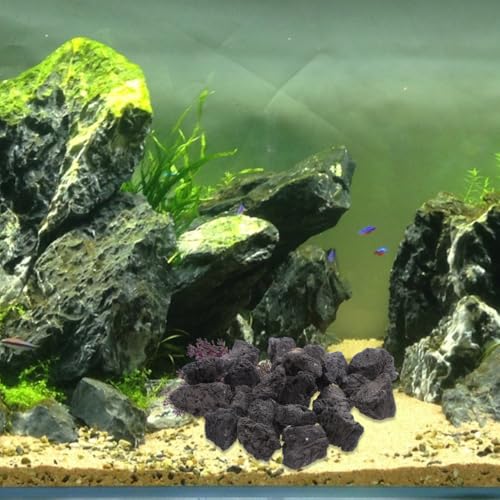 UKCOCO 1-1.6 Inches Natural Black Lava Rock for Aquarium and Plants, 200g/0.44Lb Volcanic Rocks Decorative Stones for Fish Tank Filtration, Aquascaping, Terrarium and Potted Plants