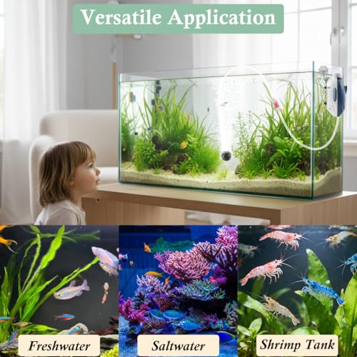 Dirvin 2W Silent Aquarium Air Pump -45GPH Small Fish Tank Bubbler, Adjustable Aquarium Aerator with Accessories for 5-20 Gallon Fish Tank