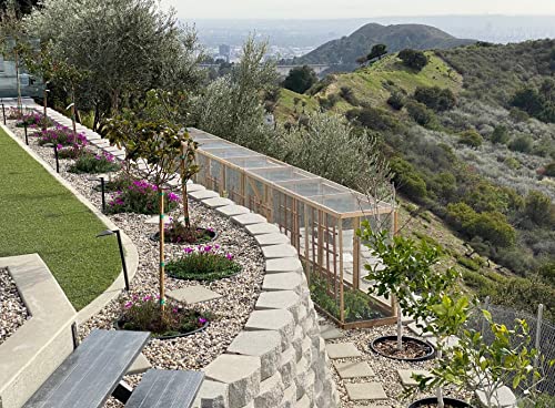 6-Pack 24-inch Tree Planting Rings – Deep Root Watering Basin & Edging. - size: 24" - 6 pack