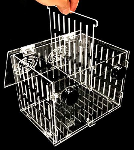 Magnetic Acclimation Breeder Box 4.5" / 8" /12" for Fish Anemone Coral Strong N52 Magnets for 1/2" Glass (8"x6"x6") - size: 8"x6"x6"