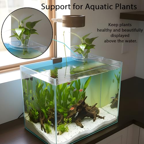 Aquarium Plant Holder for Rimless Fish Tank – 2 Pcs Corner Shelf for Fish Tank Top, Aquatic Plant Planter & Organizer for Aquatic Plants, Decor, and Accessories (White) - color: White