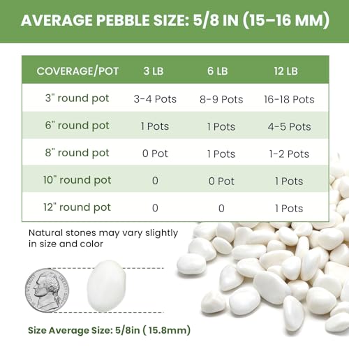 Snow White Polished River Rocks, 5/8 Inch Natural Decorative Pebbles for Fish Tank, Vase Fillers, Indoor Plants & Garden Landscaping,White Stones for Crafts, Succulents, Home Decor-6LB - size: 6lb, style: white