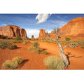 Reptile Habitat Background Sandstone Rock Mountain Scenery Backdrop Desert Terrarium Aquarium Background Durable Polyester Vinyl 24x12in - color: Gobi Yellow, size: 24(W)x12(H)inches/ 60(W)*30cm(H)