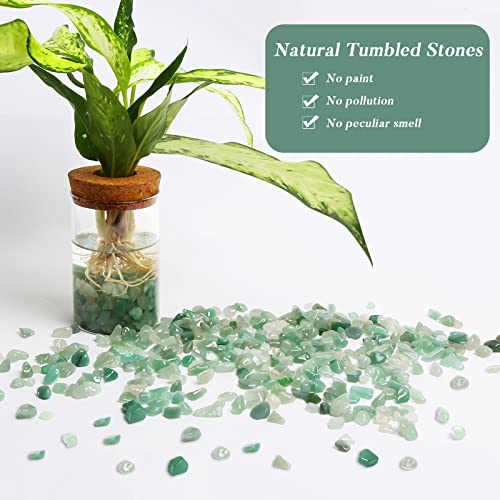 QICQDRAM Polished Gem Stones Rocks Crystals 0.9 Lb/405g Natural Tumbled Stones Green Aventurine Crystal Chips Bulk for Healing Crystals & Fish Tank Rocks Gravel, Vase Filler, Plants Decor - color: Green Aventurine