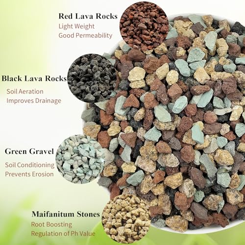 FANTIAN 2 lbs Mix Horticultural Succulent Soil,1/4 Inch Pumice Gravel. Decorative Pebbles Lava Rock for Cactus, Bonsai, Orchid, Indoor Plants of Drainage, Ventilation and Root Growth - color: Mixed Color