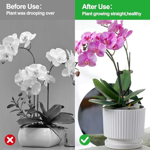 50 Pcs Plant Clips Orchid Clips,Plant Orchid Support Clips,Flower and Vine Clips，Garden Clips，Plant Clips for Climbing Plants - size: 50 PCS