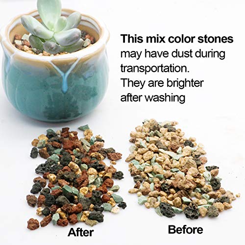 TOYPOPOR Mix Horticultural Lava Rock Pebbles Pumice Potting Soil Amendment Succulent Cactus Bonsai Gritty Rock Decorative Gravel Plant Drainage Volcanic for Terrarium Fairy Gardening Top Dressing 6lb - color: Multi, size: 6 lb