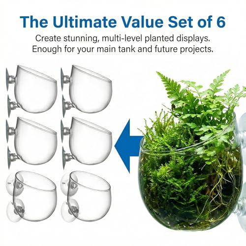 Hiceeden 6 Pcs Aquatic Plant Holder, Glass Aquarium Plant Pot with Suction Cup, Red Worm Cups Fish Feeder for Fish Tank Aquascape Decoration
