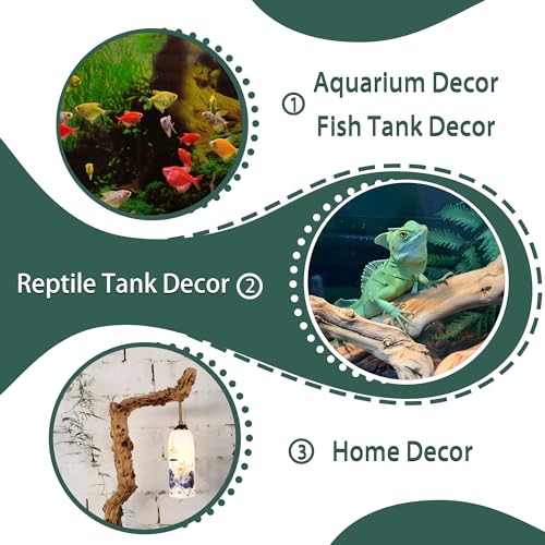 Natural Wood Driftwood for Aquarium Fish Tank Decor,Assorted Driftwood Trunk Branch for Reptile Tank Decor (SLM-Trunk M (13 to15 Inch)-Pack of 2) - color: SLM-Trunk M (13 to15 Inch)-Pack of 2