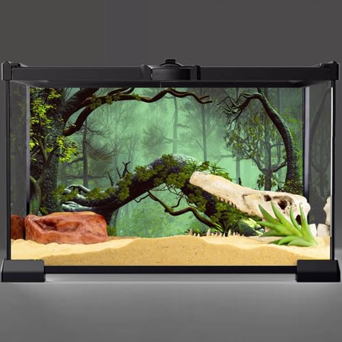 AWERT 30x18 inches Foggy Forest Terrarium Background Stone Green Tree Tropical Reptile Habitat Background Rainforest Aquarium Background Durable Polyester Background