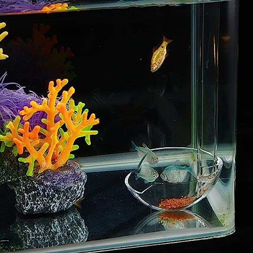 Aquarium Feeding Tube Dish Bowl for Fishtank with Detachable Frame for Shrimp Glass Shrimp and Snails Feeding Dish