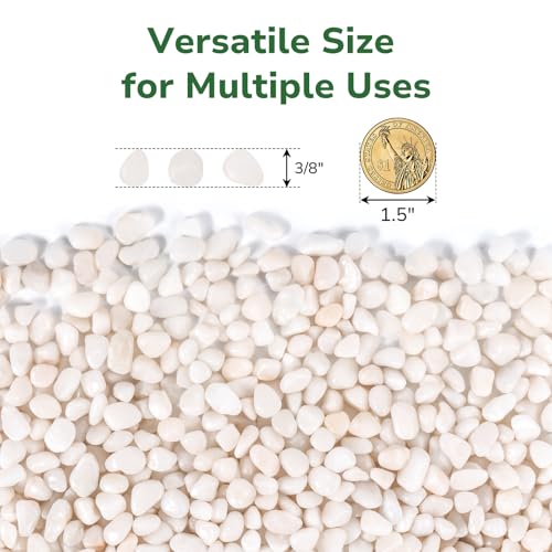 GreatBuddy 2.5-lb Decorative Rocks for Indoor Plants, 3/8" White Pebbles, Small Rocks for Potted Plants, Succulent, Vases, Aquariums, Fish Tanks, Garden Landscaping, Natural Polished - color: White-2.5lb, size: Medium-3/8 Inch