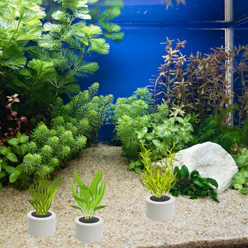 12 PCS Aquarium Plant Weights for Fish Tank, Ceramic Ring with Black Sponge, Aquatic Plants Fixed Ring Anti-Floating Aquarium Landscape Decoration