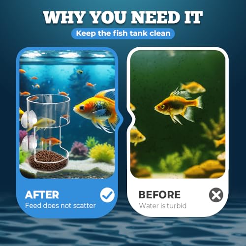 No Mess Aquarium Feeder, 2026 New Acrylic Clear Fish Tank Feeder with Suction Cup, Preventing Food Scattering (Round+Square) - color: Round+Square
