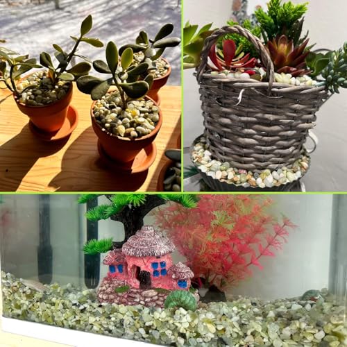 45lb Jade Bean Stone,1/4 Inch Bonsai DIY Rocks, Natural Succulent Rock and River Rocks Decorative for Aquariums, Vases, Terrarium, Outdoor Gardening, Top Dressing for Potted Plants - color: Light Green, size: 45 lb(new)
