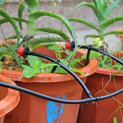 Kalolary 100PCS 1/4" Universal Barbed Tee Fittings, 1/4 Inch Barbed Tee Connectors Drip Irrigation Fittings for 4mm/7mm Water Tube Parts Drip Irrigation Hose Connector Watering System - size: 100 Count - 3.50 × 2.00 × 0.4 cm