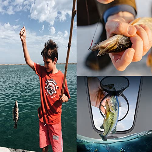 Transparent Lid Fishing Bucket, Portable Foldable Fishing Bucket, Bait Bucket, Fish Bucket, Live Bait Storage. (8 gallons) - color: Gray, size: size8gallon