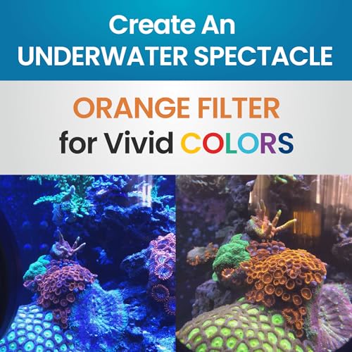 Flipper DeepSee Viewer Clear Orange Filter Attachment for Flipper DeepSee Viewer MAX 5" Magnetic Aquarium Glass Magnifier for Coral Color Correction, Reef Photography and Aquarium Videography - color: Clear, size: MAX 5"