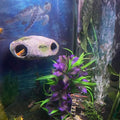 Aquarium Decor Magnetic Rock Cave Ornament – Wall-Mounted Fish Tank Accessory
