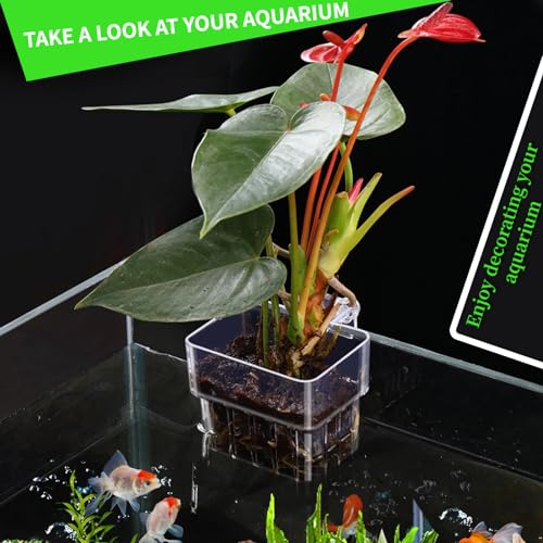 2 PCS Aquarium Plant Holder Top Hanging Fish Tank Plant Pot Aquarium Planter Cups for Water Feature Decoration - color: Square - Clear
