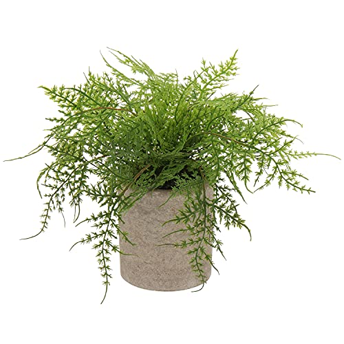 Briful Small Fake Plant Potted Plants Artificial Decor Plastic Asparagus Ferns Plant Faux Plants in Pots for Home Living Room Bedroom Desk Shelf Farmhouse Decoration - color: Color #03