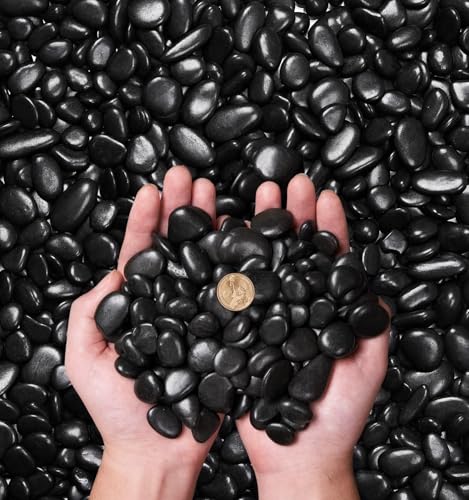 NUPICK 10 Pound River Rocks, 1-2 Inches Polished Pebbles for Plants, Fish Tank, Clear Vase and More, Natural Black Stones - color: Black, size: 0.8-1.3"-10lb
