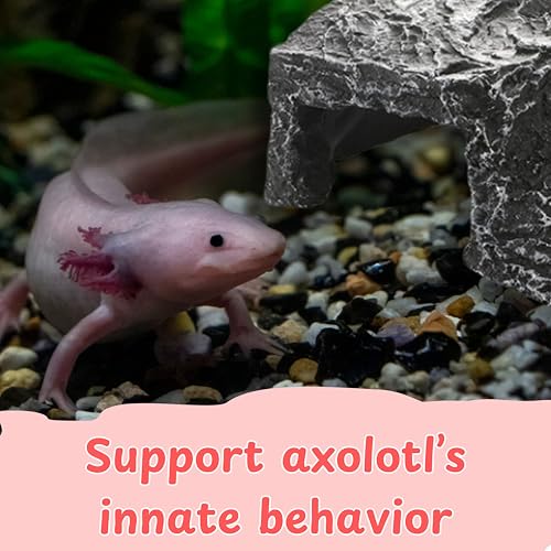 Axolotl Hide with Fish Feeding Dish Set, Axolotl Hideout for Aquariums, Bowl and Aquarium Hides for Axolotls Reptile Tortoise Fish, Hides for Tank, Turtle Tanks Decorations (Rock, M) - color: Rock