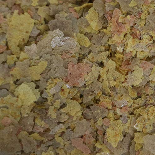API TROPICAL GREENS FLAKES Tropical Fish Greens Flakes Fish Food 2.1-Ounce Container - size: 1 Count (Pack of 1), style: Tropical Greens