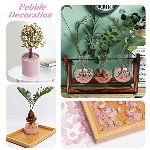 QICQDRAM Dyeing Rose Quartz Crystal Chips Bulk 0.9 Lb/405g Crystal Tumbled Stone Decorative Pebbles for Home Decoration & Fish Turtle Tank, Vase Filler, Plants Decor - color: Rose Quartz
