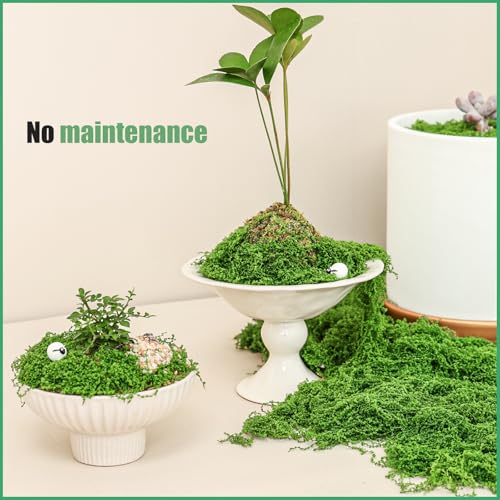 Fake Green Moss for Potted Plants Indoor,14.1oz Artificial Moss for DIY Crafts, Decorative Faux Grass for Planters, Model Making,Table Centerpieces,Walls, Wedding, Terrariums, Fairy Garden Accessories - size: 14.1oz