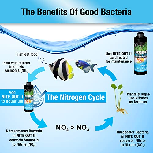 MICROBE-LIFT Nite-Out II Aquarium Bacteria for Start-up, Instantly Cycle Aquariums, Add Fish on Day 1, Rapid Ammonia and Nitrite Reducer for Freshwater & Saltwater Fish Tank, 8 Ounces (NITEH08) - size: 8 Ounces