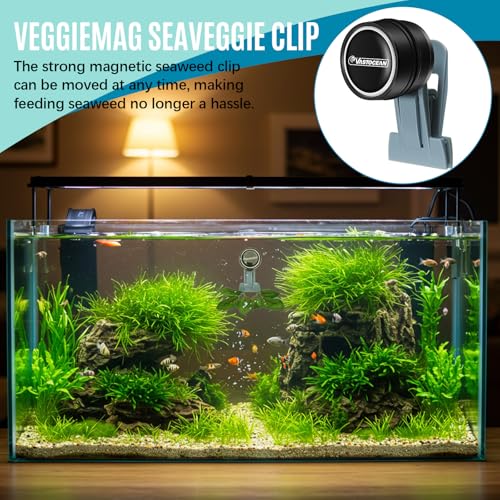 Blulu 2 Pcs Magnetic Seaweed Feeding Clips Saltwater Aquarium Tank Accessories Algae Magnet Seaweed Feeder for Fish and Aquatic Pets, Automatic Fish Feeder