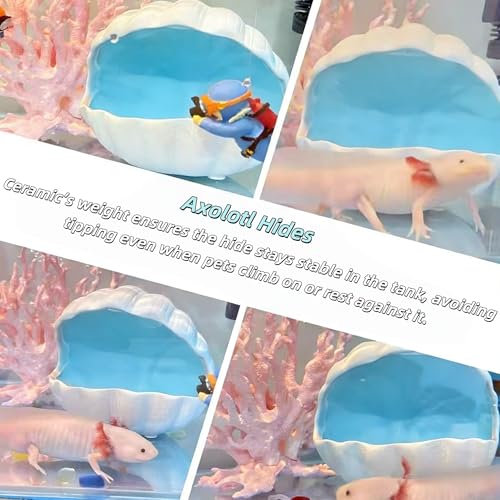 3Pcs Axolotl Tank Accessories, Hide Shell Shape Ceramic Fish Tank Cave, Silk Plants, Feeder Bowl, Fish Tank Decor Shelter for Small Pet Frog Fish Betta (Extra Large, Blue)