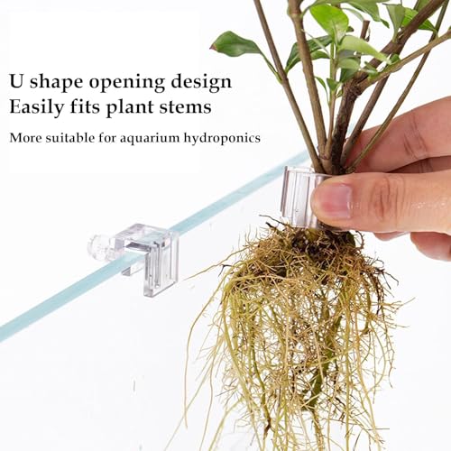 Plant Holder for Fish Tank – 6-Piece Clear Set | Hangable Aquarium Plant Cups with Clear Brackets for Fish Tan, Ideal Growth, Cultivation, and Home Aquarium Ecosystem Organization - size: Medium