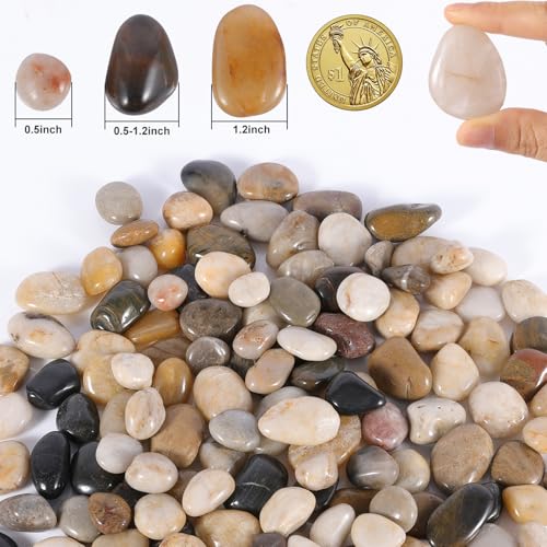 River Rocks Decorative Pebbles - 5lb Mixed Color Polished Gravel for Garden Landscaping, Indoor Plants, Aquariums, Succulents, Vases, Fish Tank, Outdoor Flower Beds 0.4-1.2 Inch Ornamental Stones