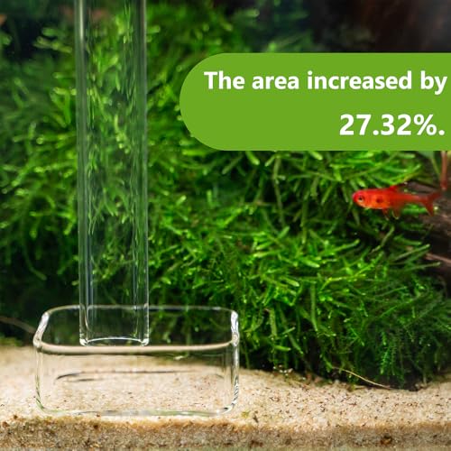 LINLAN 7.78 Inch Glass Shrimp Feeder, Aquarium Feeding Tube and Square Bowl with Two Suction Cups to Prevent Food from Spreading, for Crystal Shrimp and Cherry Shrimp - size: 20CM