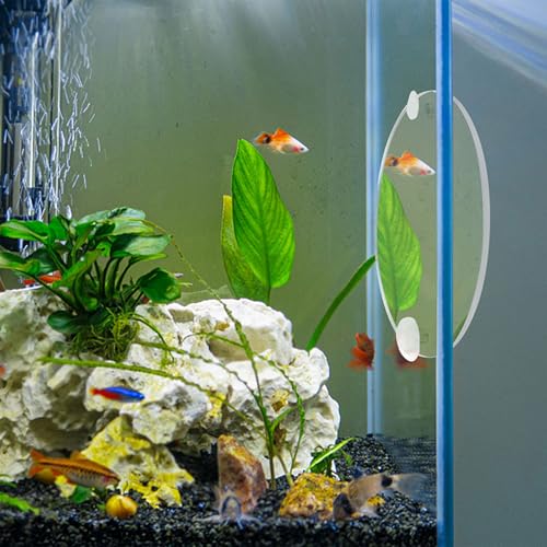 INOOMP Fish Training Acrylic Mirror, Decorative Fish Exercise Mirror Round Betta Exercise with Suction Cups for Tank Decoration -3.5Inch